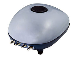 1003844_0.jpg