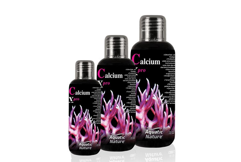 AN CALCIUM X-PRO 1LT