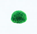 13250_0.jpg