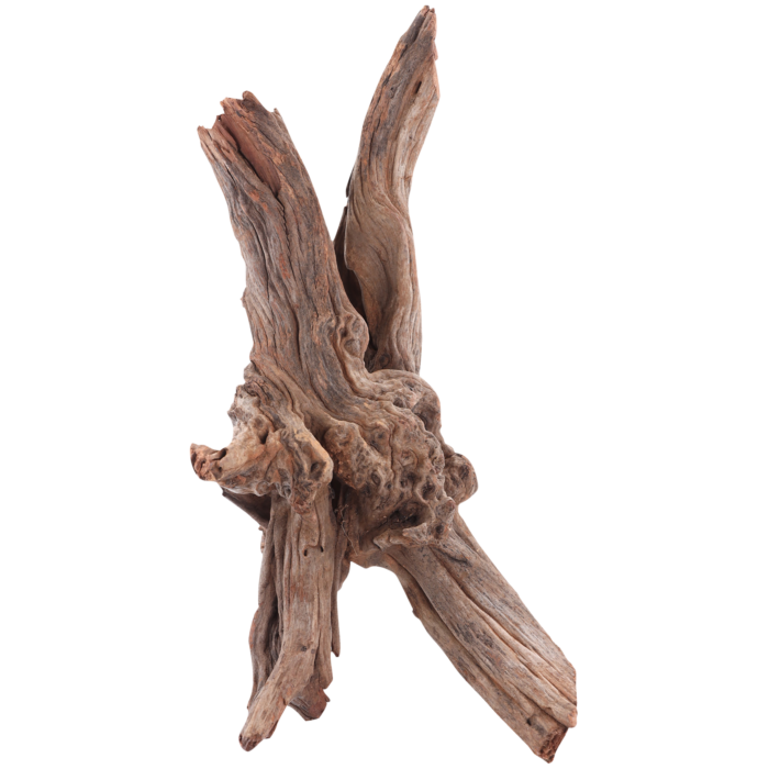 32841_0.png